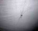 HAL 2001 Photo 65