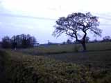 Capenhurst Photo 01