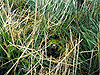 Darton ROC Photo 04